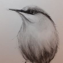 Mon projet du cours : Techniques artistiques d'aquarelle pour illustrer les oiseaux. Traditional illustration, Watercolor Painting, Realistic Drawing, and Naturalistic Illustration project by valerie oberrieder - 01.02.2022