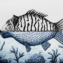 PF 2022 – Water Tiger. Un progetto di Bozzetti, Disegno, Disegno artistico, Sketchbook, Illustrazione con inchiostro e Illustrazione naturalistica di miro.pobox - 07.01.2022