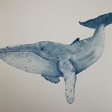 My project in Naturalist Illustration Techniques: Whales in Watercolor course. Un progetto di Illustrazione tradizionale, Design di poster , Illustrazione digitale e Manga di Ira - 06.01.2022