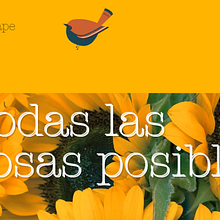 Mi Proyecto del curso: Escritura para blogs: encuentra tu estilo personal. Un proyecto de Escritura, Copywriting, Marketing de contenidos, Comunicación, Narrativa y Redacción de contenidos		 de Paola Lomelín - 12.01.2021