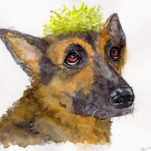 Mein Kursprojekt: Ausdrucksstarke Tierporträts in Aquarell. Un progetto di Illustrazione tradizionale, Pittura ad acquerello, Disegno realistico e Illustrazione naturalistica di Melanie Stübing - 07.01.2022