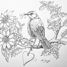 My project in Dip Pen and Ink Illustration: Capturing The Natural World course Ein Projekt aus dem Bereich Skizzenentwurf, Zeichnung, Artistische Zeichnung, Sketchbook, Illustration mit Tinte und Naturalistische Illustration von Andrea Snuggs - 08.01.2022