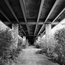 Framez Magazine. Design, Design editorial, Design gráfico, e Fotografia projeto de suzilv426 - 05.01.2022