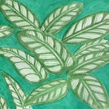 My project in Botanical Illustration with Watercolors course. Traditional illustration, Fine Arts, Painting, Drawing, Watercolor Painting, and Botanical Illustration project by Rommel John Panal - 01.08.2022
