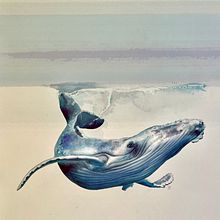 Ballenas jorobadas. Técnicas de ilustración naturalista: ballenas en acuarela. Un proyecto de Ilustración tradicional, Diseño de carteles, Ilustración digital y Manga de Llanos Part Jornet - 08.01.2022