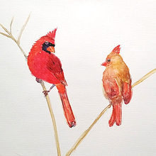 Mon projet du cours : Techniques artistiques d'aquarelle pour illustrer les oiseaux . Ilustrasi tradisional, Lukisan Cat Air, Gambar Realistis & Ilustrasi Naturalistik proyek oleh Aurelie Boisbunon - 01.08.2022