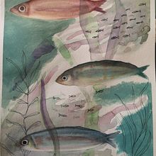 Mi Proyecto del curso: Ilustración de universos marinos en acuarela . % Verónica Martín García tarafından hazırlanan Geleneksel illüstras, on, Tablo, Sulubo, a Resim, Doğalcı İllüstras, Ve on projesi - 01.08.2022