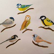 My project in Artistic Watercolor Techniques for Illustrating Birds course. Traditional illustration, Watercolor Painting, Realistic Drawing, and Naturalistic Illustration project by crysella - 01.06.2022