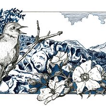 My project in Dip Pen and Ink Illustration: Capturing The Natural World course "Nightingale on Elba island". Un progetto di Bozzetti, Disegno, Disegno artistico, Sketchbook, Illustrazione con inchiostro e Illustrazione naturalistica di Richter Jutta - 08.01.2022