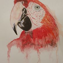Green Winged Macaw in Watercolor. Un progetto di Disegno, Illustrazione tradizionale e Pittura ad acquerello di Henriëtte Doornwaard - 08.01.2022