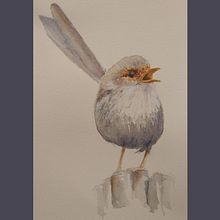 My project in Artistic Watercolor Techniques for Illustrating Birds course . % anne_babington tarafından hazırlanan Geleneksel illüstras, on, Sulubo, a Resim, Gerçekçi Çizim, Doğalcı İllüstras, Ve on projesi - 01.10.2022