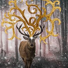 Mon projet du cours : Photomontage et illustrations fantastiques sur Photoshop. Un proyecto de Fotografía, Collage, Retoque fotográfico, Ilustración digital, Composición fotográfica y Fotomontaje de Nancy StarBloom - 12.01.2022