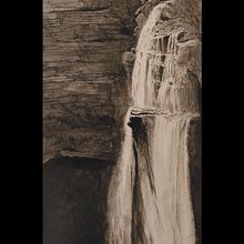 My project in Dip Pen and Ink Illustration: Capturing The Natural World course. Un proyecto de Bocetado, Dibujo, Dibujo artístico, Sketchbook, Ilustración con tinta e Ilustración naturalista				 de anne_babington - 10.01.2022