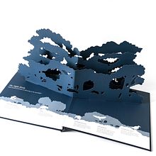 Midnight Creatures: A pop-up shadow search. Traditional illustration, Design, and Paper Craft project by Helen Friel - 01.10.2022