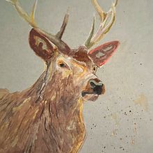 Stag. Watercolor Painting project by Mary Lou Fisher - 01.10.2022