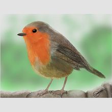 The gardeners best friend. Un progetto di Disegno digitale di keysdrawings84 - 10.01.2022