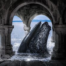 Il mio progetto del corso: Segreti del fotomontaggio e del ritocco creativo. Un progetto di Fotografia, Postproduzione fotografica, VFX, Ritocco fotografico, Fotografia artistica, Composizione fotografica e Fotomontaggio di federica_valenzisi - 10.01.2022