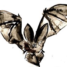 Long-eared bat. Traditional illustration project by Eileen Laurie - 01.10.2022