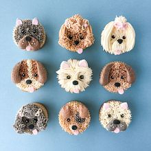 Puppy Cupcakes. Design, Arts, and Crafts project by Liz Shim - 01.11.2022