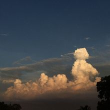 Paisajes de mi alrededor. . % arantza palacios tarafından hazırlanan Fotoğrafçılık projesi - 01.11.2022