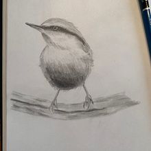 Mon projet du cours : Techniques artistiques d'aquarelle pour illustrer les oiseaux. Traditional illustration, Watercolor Painting, Realistic Drawing, and Naturalistic Illustration project by Lynda Flamand - 01.12.2022