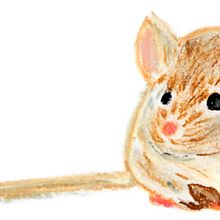 Ilustración de ratón con lápices pastel. Un projet de Illustration traditionnelle , et Dessin de alidamaynenicholls - 12.01.2022