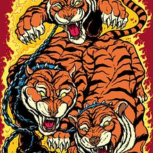Jaime Mateu “Tigres” Signature Pro Model Skateboar Deck para Embassy SKateboards. Un proyecto de Ilustración tradicional y Diseño de Marcos Cabrera - 12.01.2022