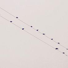 Meu projeto do curso: Fotografia minimalista para Instagram. Photograph, Photographic Composition, Digital Photograph, Outdoor Photograph, Documentar, and Photograph project by Michelle Nannini - 01.12.2022