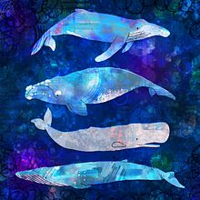 My project in Playful Animal Illustration with Photoshop course. Un progetto di Illustrazione tradizionale e Illustrazione digitale di Eli Johnathan - 12.01.2022