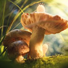 Forest. Un projet de Motion design, 3D , et Animation 3D de Vinogradova Sasha - 30.04.2020