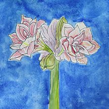 Mein Kursprojekt: Botanisches Zeichenheft: ein meditativer Ansatz. Un proyecto de Ilustración tradicional, Bocetado, Dibujo, Pintura a la acuarela, Ilustración botánica y Sketchbook de agneshammerstein - 13.01.2022