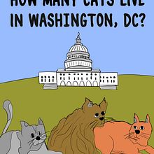 DC Cat Count. Traditional illustration project by cginsberg - 11.09.2021