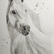 Expressive Animal Portraits in Watercolor (1). Traditional illustration project by Timmermans Jolanda - 01.09.2022