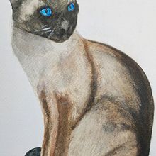 Expressive Animal Portraits in Watercolor (2). Traditional illustration project by Timmermans Jolanda - 01.02.2022