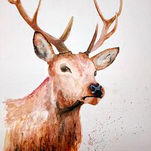 Expressive Animal Portraits in Watercolor (3). Traditional illustration, and Watercolor Painting project by Timmermans Jolanda - 01.09.2022