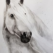 My project in Expressive Animal Portraits in Watercolor course. Traditional illustration, Watercolor Painting, Realistic Drawing, and Naturalistic Illustration project by Bobby Venedam - 01.14.2022