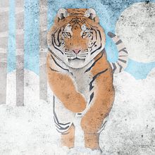 Tigris. Vector Illustration, Traditional illustration, Digital Illustration, and Children's Illustration project by kalinsan1 - 01.12.2022