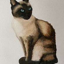 My project in Expressive Animal Portraits in Watercolor course. Traditional illustration, Watercolor Painting, Realistic Drawing, and Naturalistic Illustration project by Wendy van den Berg-Heyer - 01.14.2022