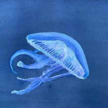 Moderne Aquarelltechniken. Un progetto di Illustrazione tradizionale di Sonja Hans - 14.01.2022