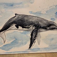 My project in Naturalist Illustration Techniques: Whales in Watercolor course. Traditional illustration, Poster Design, Digital Illustration, and Manga project by Lemaitre Christine - 01.14.2022