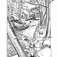 My project in Dip Pen and Ink Illustration: Capturing The Natural World course. Een project van  Schetsen,  Tekening,  Artistieke tekening, Sketchbook,  Illustratie met inkt y Naturalistische illustratie van kristofluysmans - 15.01.2022