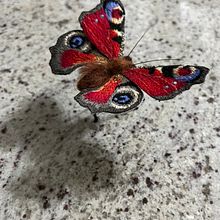 Butterfly using stumpwork and needle felting techniques.. Embroider, and Needle Felting project by Lynne Bayley - 01.14.2022