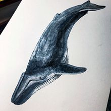 Mi Proyecto del curso: Técnicas de ilustración naturalista: ballenas en acuarela. Projekt z dziedziny Trad, c, jna ilustracja,  Projektowanie plakatów, Ilustracja c, frowa i Manga użytkownika Angelo Ballerines - 16.01.2022