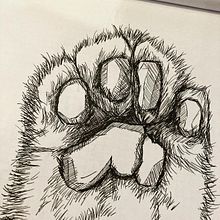 Chat au liner. Traditional illustration project by Aurelie Charpentier - 01.16.2022