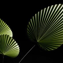 Origami leaves – Mosaique (Maison&Object USA). Paper Craft project by Lisa - 01.16.2022