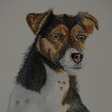 My project in Expressive Animal Portraits in Watercolor course. Projekt z dziedziny Trad, c, jna ilustracja, Malowanie akwarelą, R, sunek realist, czn, Ilustracja naturalist i czna użytkownika andydb - 13.01.2022