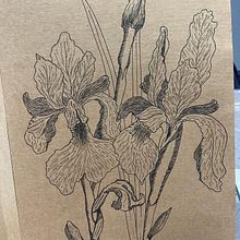 Iris au liner . Traditional illustration project by Aurelie Charpentier - 01.16.2022