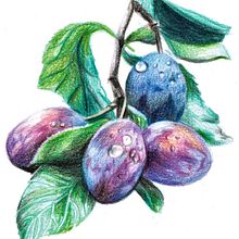 BOOK pour Emile Cohl. Un proyecto de Ilustración tradicional, Dibujo a lápiz y Dibujo de Éléa Parmentier - 16.01.2022