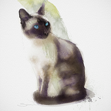 Siamese Cat - loose watercolor. Ilustração tradicional projeto de Simon Lovell - 15.01.2022