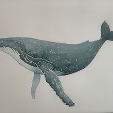 My project in Naturalist Illustration Techniques: Whales in Watercolor course. Traditional illustration, Poster Design, Digital Illustration, and Manga project by Nancy Mann - 01.17.2022